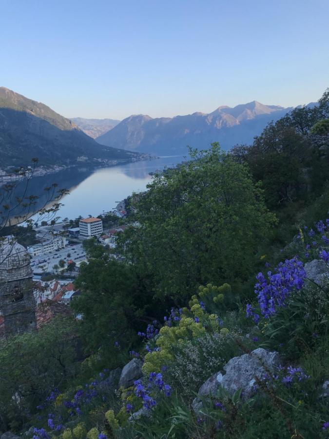 Romantic Rooftop View Hideaway- Old Town Nr 404 Appartement Kotor Buitenkant foto